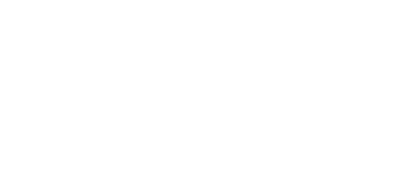 Overseas Media Group