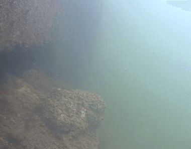 Isla Bella Resort Underwater Live Cam preview
