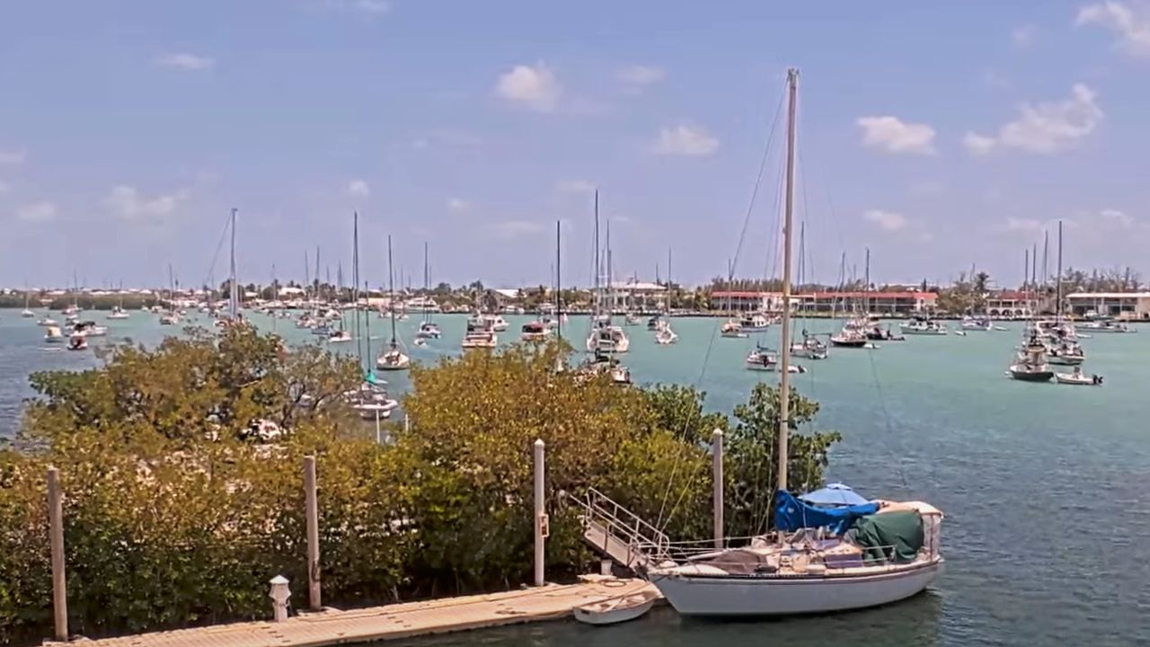 Boot Key Harbor City Marina Live Cam preview