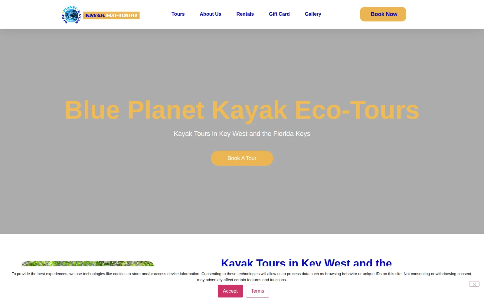 Blue Planet Kayak website