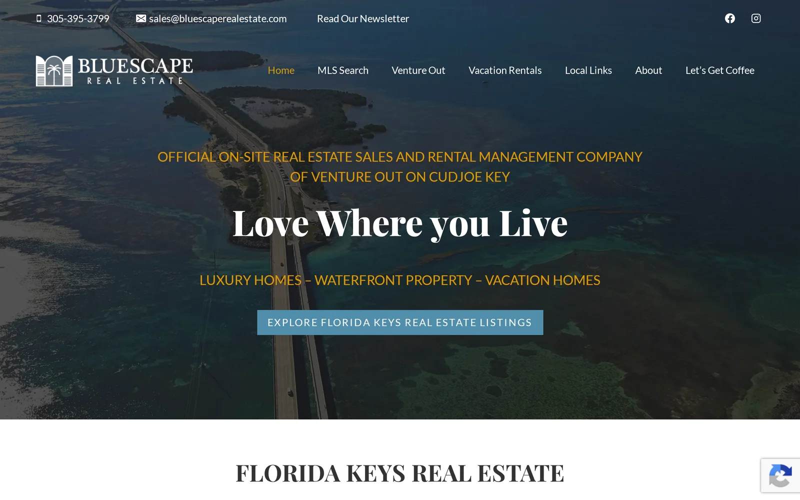 Bluescape Realty website