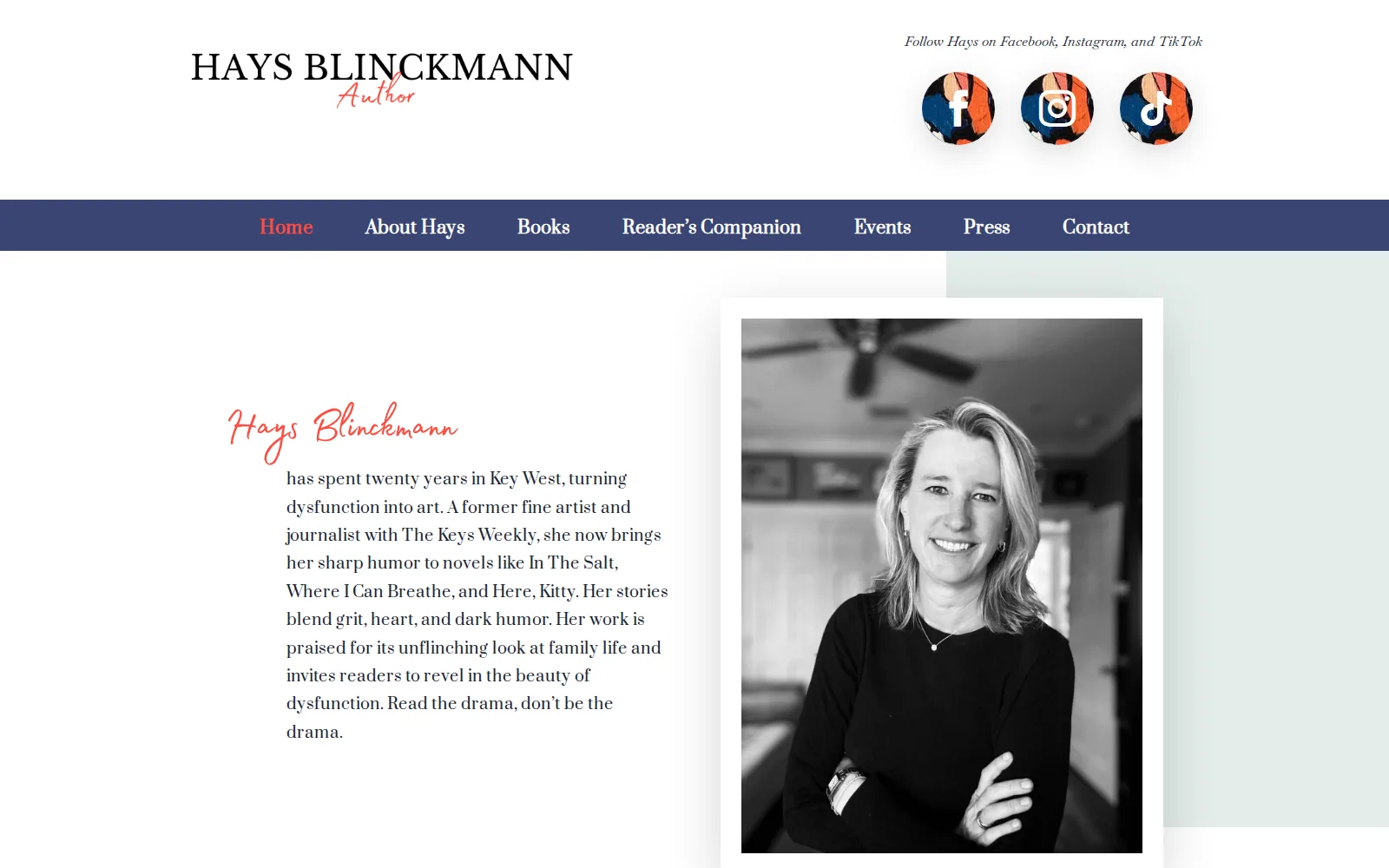 Hays Blinckmann website