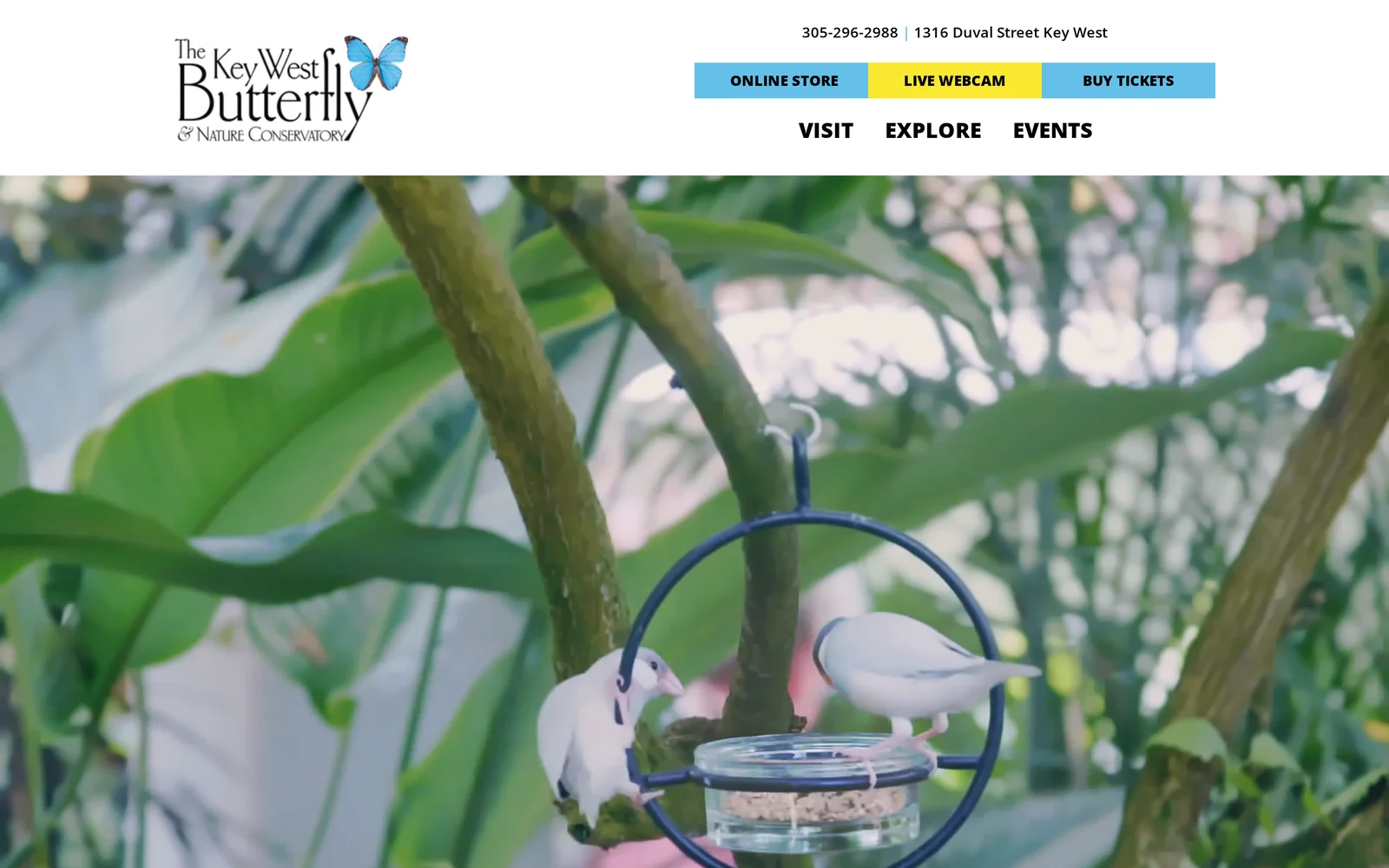 Key West Butterfly & Nature Conservatory, Attraction website