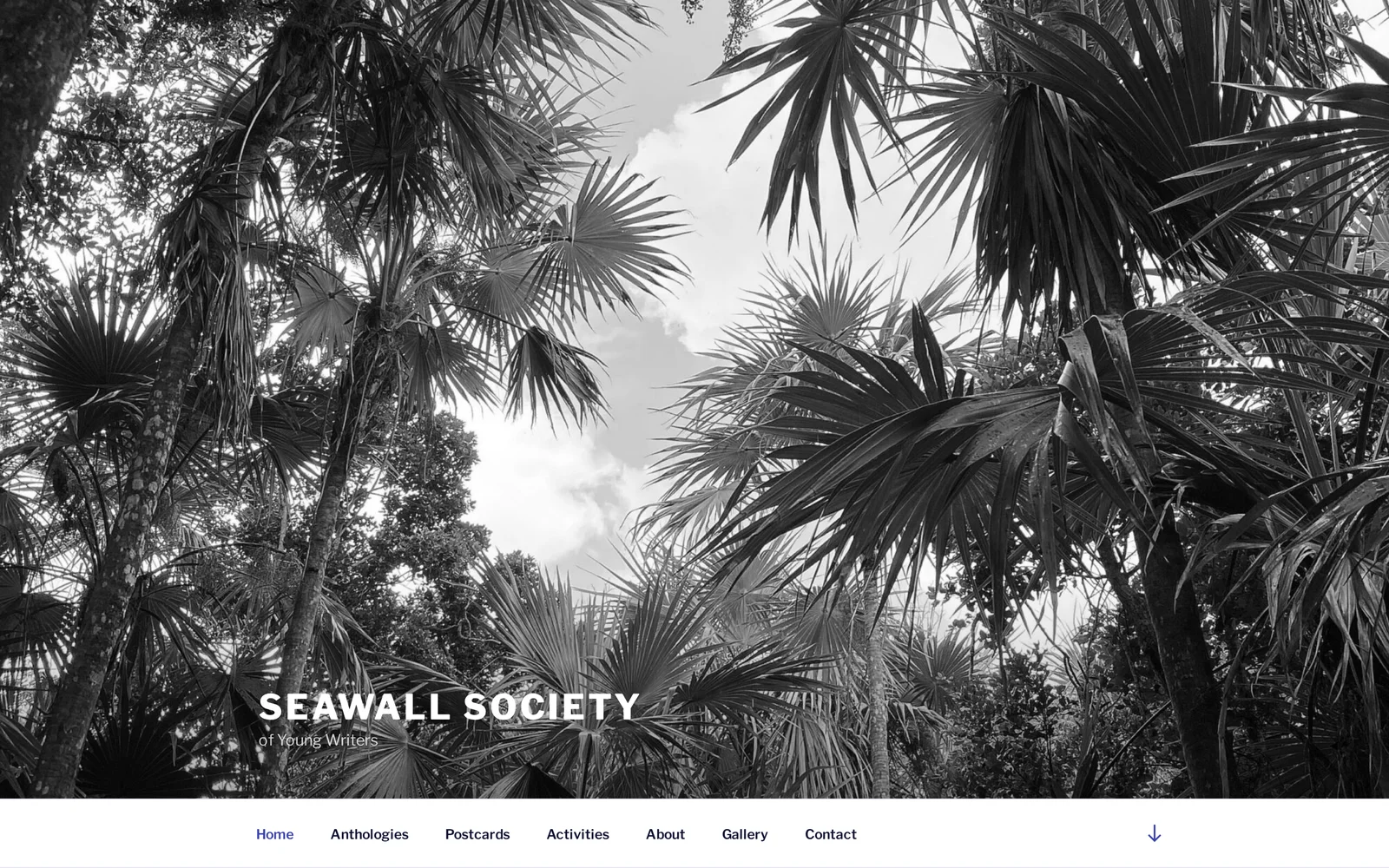 Seawall Society website