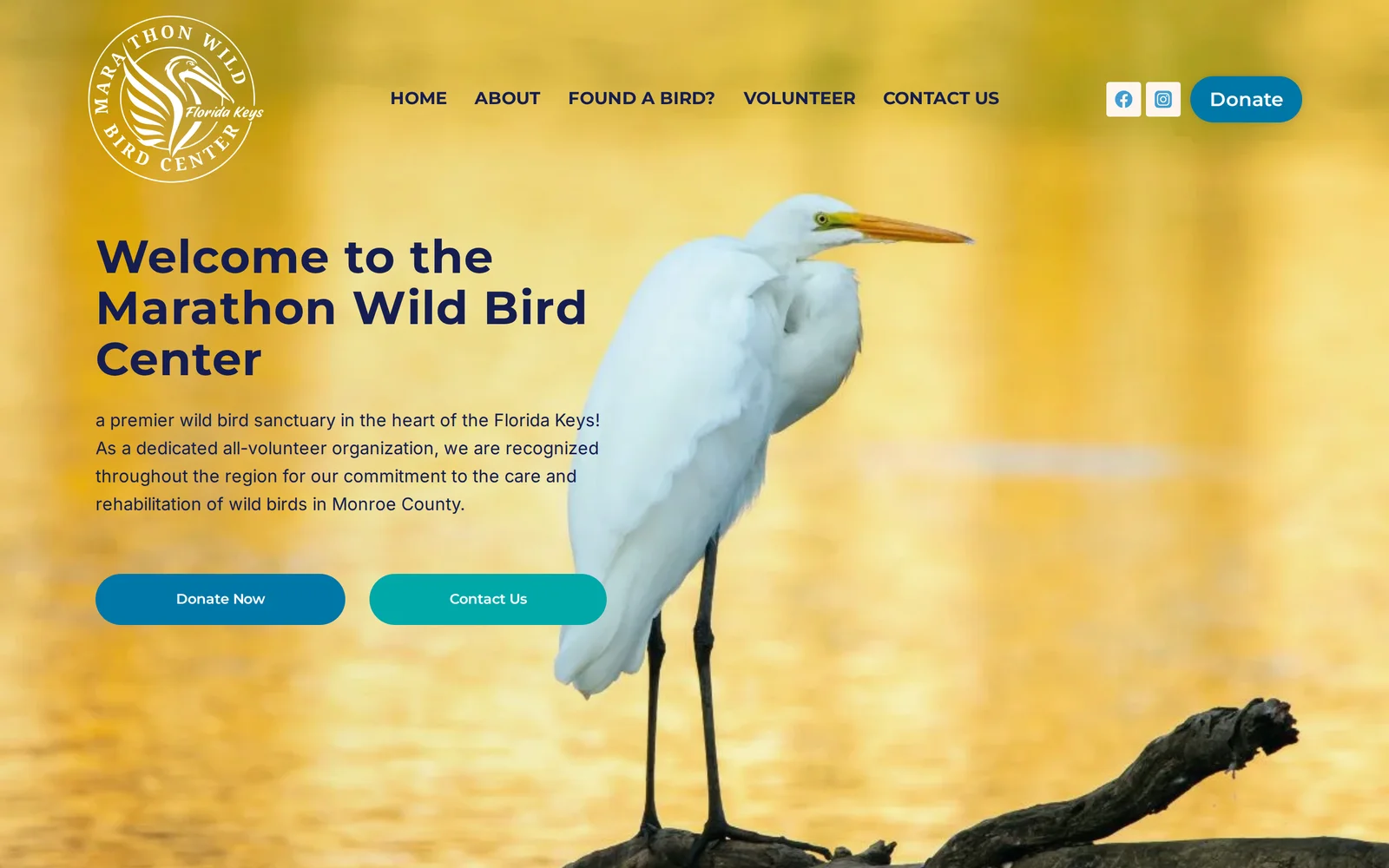 Marathon Wild Bird Center website