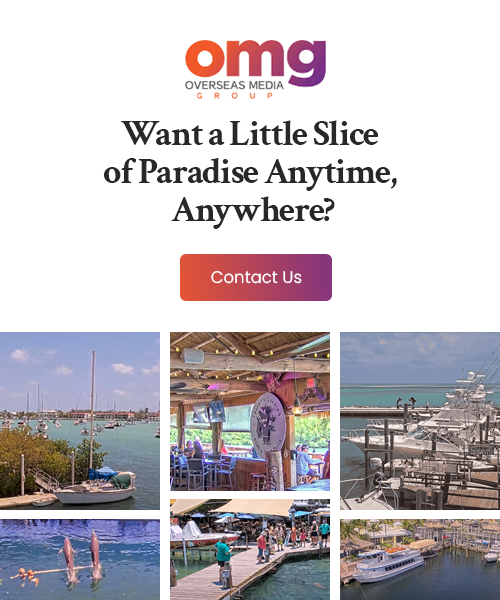 Mobile Advertisement Banner