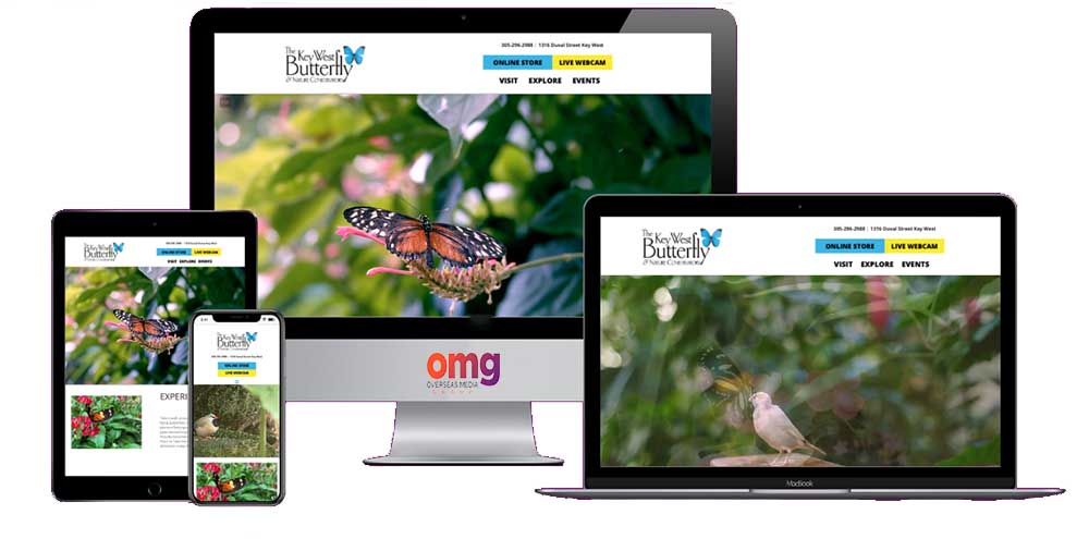 Key West Butterfly Website Redesign with video background